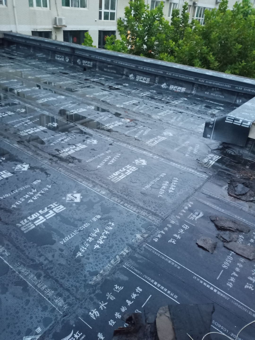 16161168905493929Nok.jpg 16161168905493929Nok.jpg